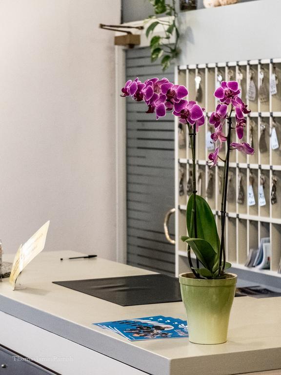 Hotel Giardino Брено Екстер'єр фото